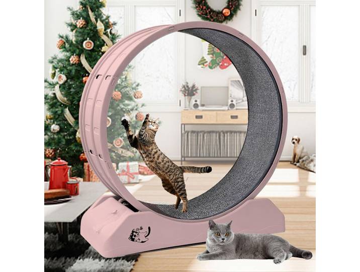 Roue d'exercice pour chats d'intérieur – Roue de style tapis roulant avec piste tapis Gestion du fitness et du poids