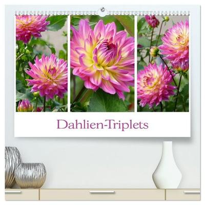 Dahlien-Triplets (hochwertiger Premium Wandkalender 2027 DIN A2 quer), Kunstdruck in Hochglanz