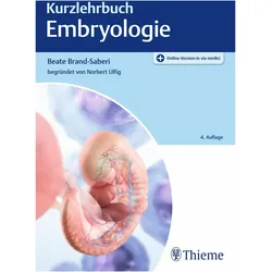 Kurzlehrbuch Embryologie, Fachbücher von Beate Brand-Saberi, Norbert Ulfig