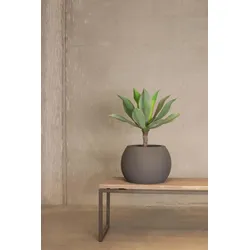 Künstliche Aloe Vera Pflanze