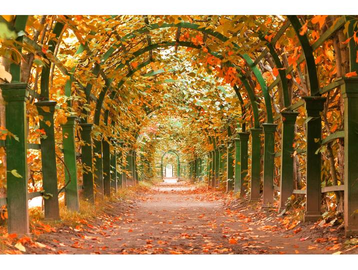 Fototapete PAPERMOON Autumn Garden , bunt, B:1,5m L:1,11m, Vlies, Tapeten, Fototapete