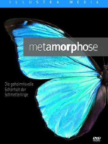 Metamorphose: Die geheimnisvolle Schönheit der Schmetterlinge - Preis vom 30.09.2026 09:01:18 h