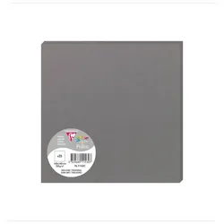 Pollen 250x Pollen, Karten 160x160 mm, 210g - Stahl 1153C