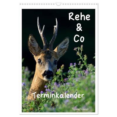 Rehe & Co / Planer (Wandkalender 2026 DIN A3 hoch), CALVENDO Monatskalender
