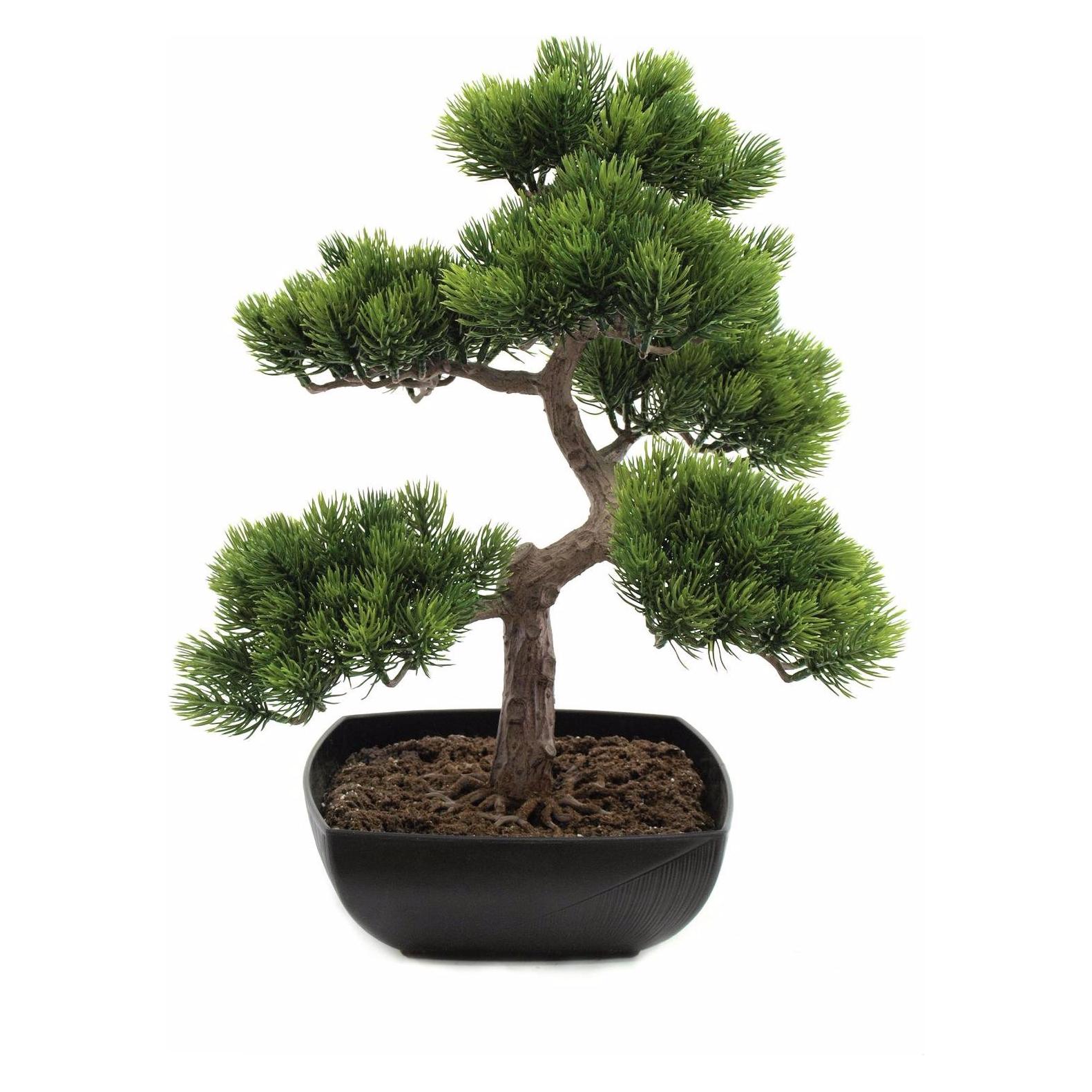 Europalms Bonsai-Pinie (50 cm) (82600110)