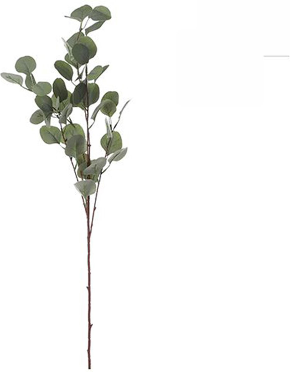 MICA Eucalyptus tak in Eucalyptus Groen 93 cm