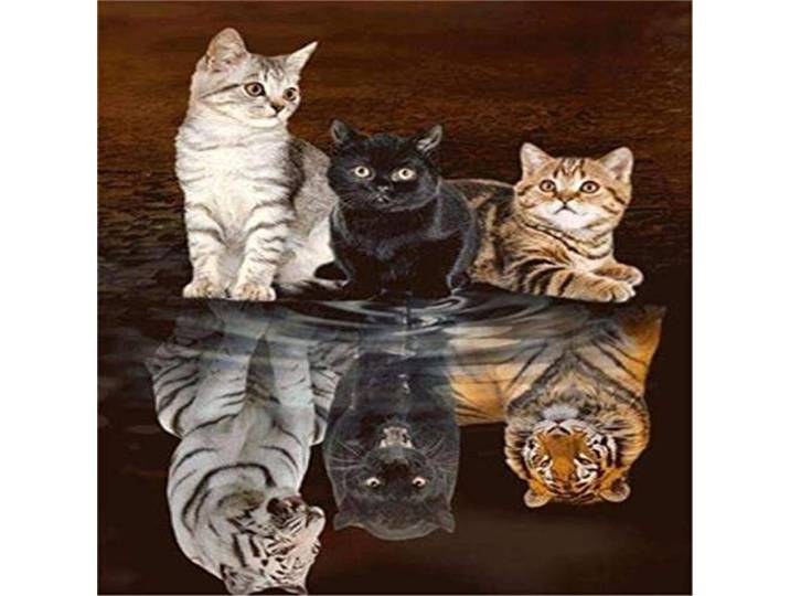 Puzzle 3000 Teile, Drei Katzen Puzzle Erwachsene 3000 Teile, Impossible Puzzle, Puzzle Kinder Mädchen, Geschicklichkeitsspiel für die ganze Familie, Puzzle Erwachsene 3000 Teile-48.03x31.88 Zoll (122
