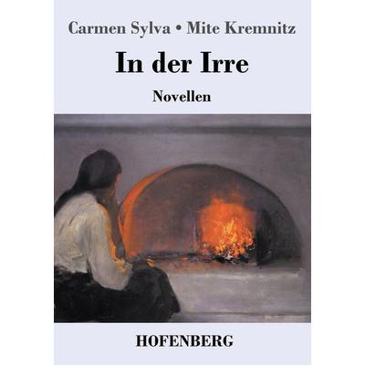 In der Irre, Taschenbuch von Carmen Sylva,Mite Kremnitz, Hofenberg, 978-3-7437-1723-7