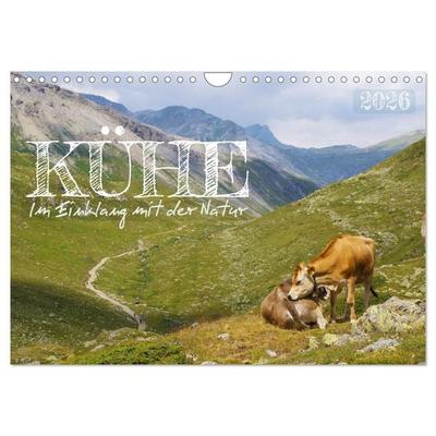 Kühe im Einklang mit der Natur (Wandkalender 2026 DIN A4 quer), CALVENDO Monatskalender