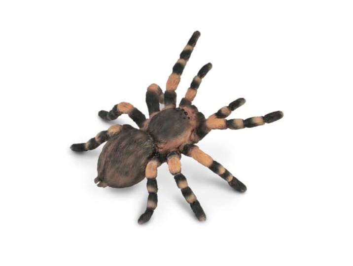 CollectA Mexicaanse rode knie vogelspin