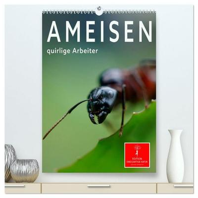 Ameisen quirlige Arbeiter (hochwertiger Premium Wandkalender 2027 DIN A2 hoch), Kunstdruck in Hochglanz