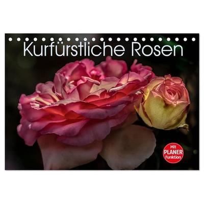 Kurfürstliche Rosen Eltville am Rhein (Tischkalender 2027 DIN A5 quer), CALVENDO Monatskalender