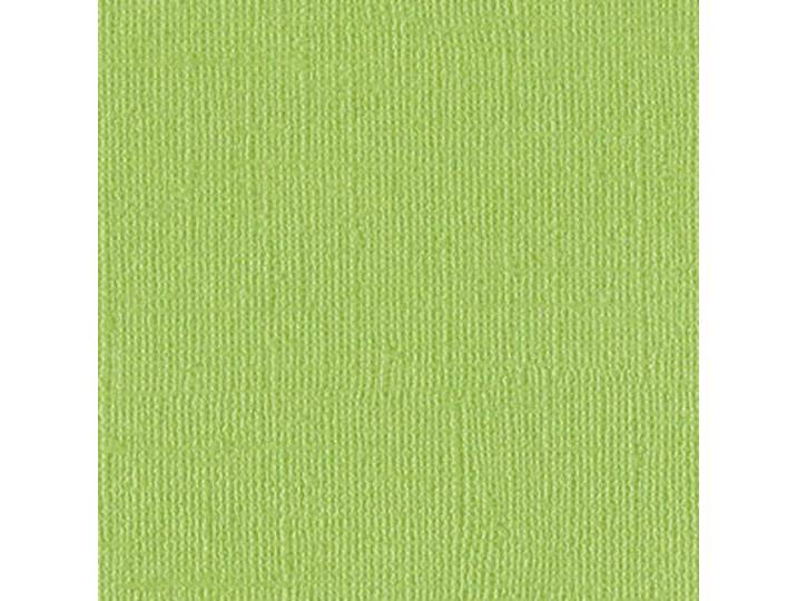Bazzill Basics Papier Scrapbooking Blad Bling Petty Cash, groen