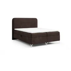 BOXBETT Emilio