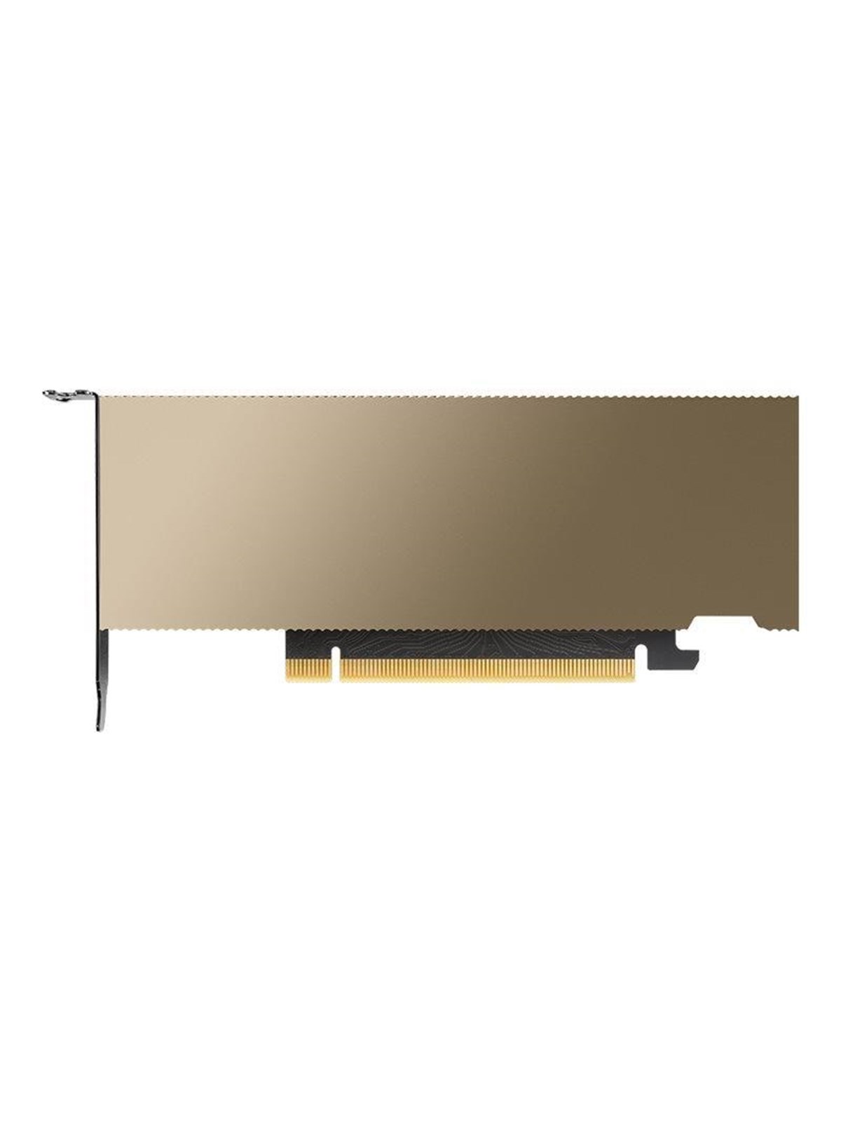 PNY NVIDIA L4 - 24GB GDDR6 RAM - Grafikkarte