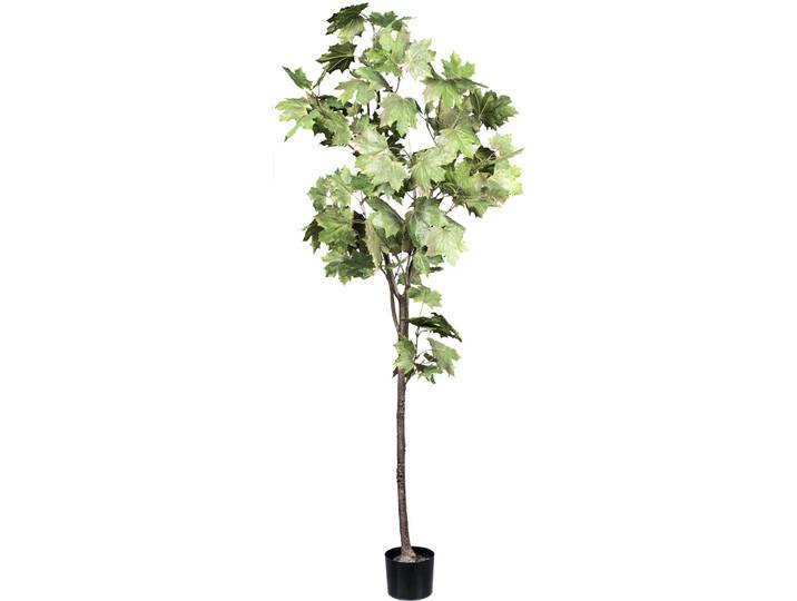 Kunstbaum CREATIV GREEN Ahornbaum , grün, H:175cm, Kunstpflanzen, Kunstbaum, mit detailgetreuen Blättern