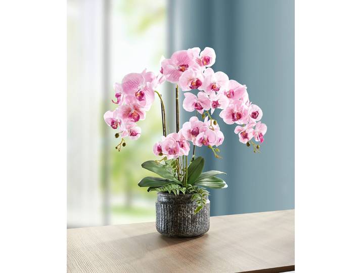 Orchideen-Gesteck im Topf, Rosa, groß