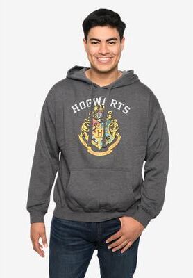 Men's Big & Tall Men's Harry Potter Hoodie Sweatshirt Pullover Hogwarts Gryffindor Slytherin by Harry Potter in Gray (Size 2XL)