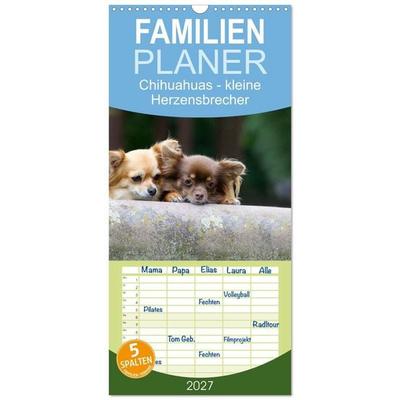 Familienplaner 2027 - Chihuahuas - kleine Herzensbrecher mit 5 Spalten (Wandkalender, 21 x 45 cm) CALVENDO