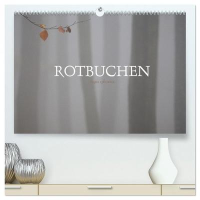 Rotbuchen (hochwertiger Premium Wandkalender 2026 DIN A2 quer), Kunstdruck in Hochglanz