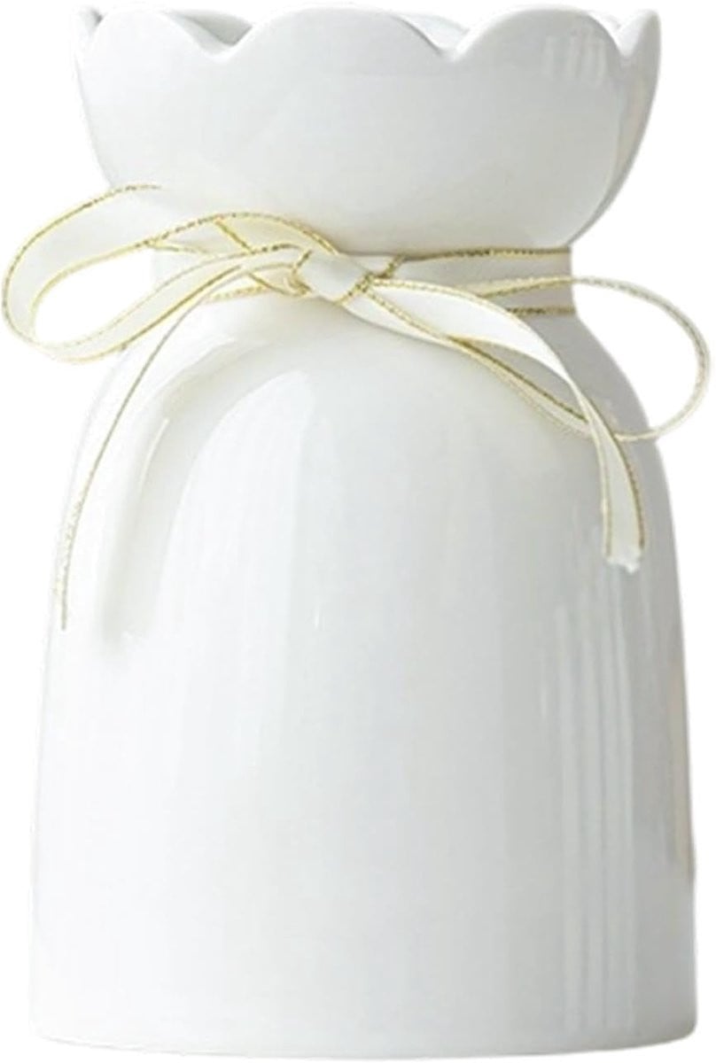 Keramische Vaas Witte Decoratieve Vaas met Gepolijst Stofwerend Oppervlak
