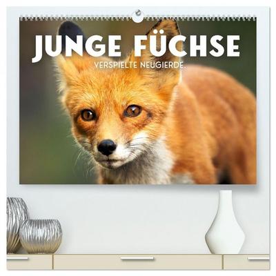 Junge Füchse - Verspielte Neugierde. (hochwertiger Premium Wandkalender 2026 DIN A2 quer), Kunstdruck in Hochglanz