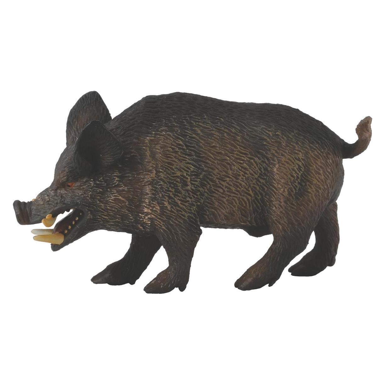 Collecta Wildschwein - Eber (M1188363)