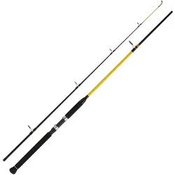 WFT Never Crack Big Fish 2,70m 150-700g Norwegen Rute