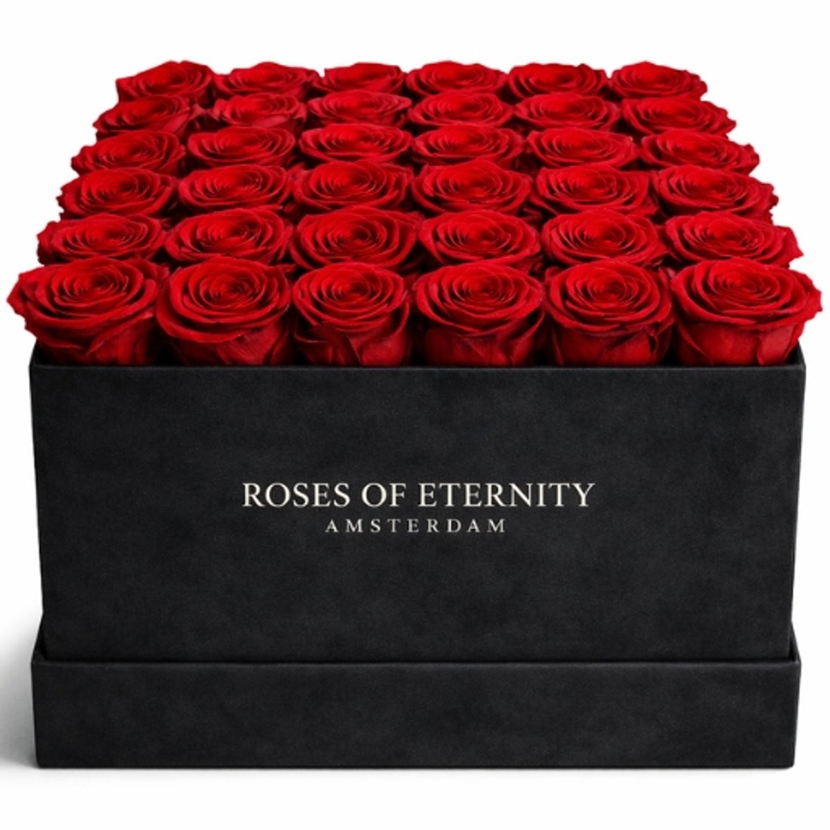 Roses of Eternity Squared Eternity L - Suède box met 36-42 geconserveerde rode rozen - Rood