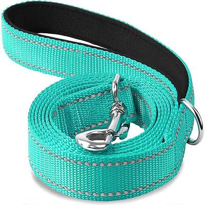 Inspired Living Reflective Dog Leash For Safe Night Walks cyan 1.5cmx150cm