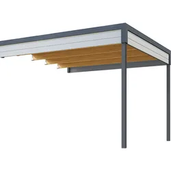 Weka Anbaudach für Gartenhaus Batu 3 hellgrau 300 x 300 cm