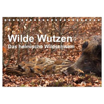 Wilde Wutzen. Das heimische Wildschwein (Tischkalender 2027 DIN A5 quer), CALVENDO Monatskalender