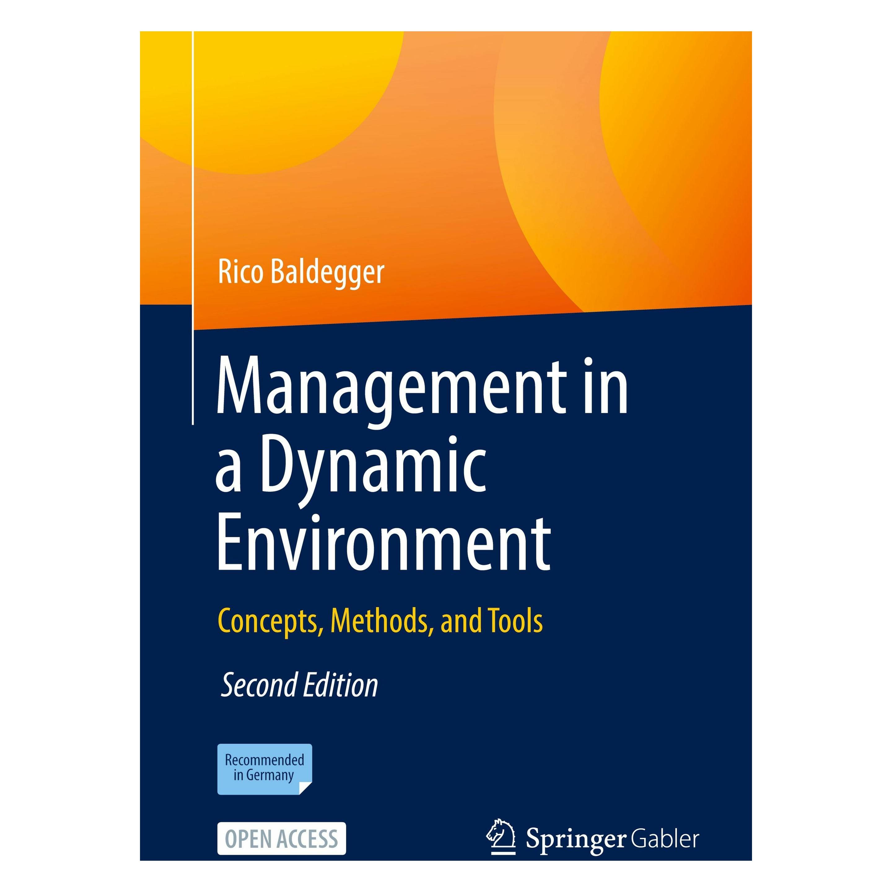 Springer Management in a Dynamic Environment (Englisch, Softcover, Rico Baldegger) (58157118)