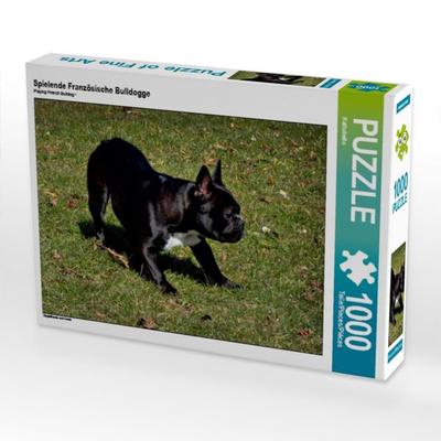 CALVENDO Puzzle Spielende Französische Bulldogge | 1000 Teile Lege-Größe 64x48cm Foto-Puzzle für glückliche Stunden