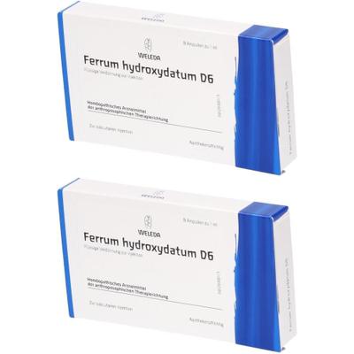 Ferrum Hydroxydatum D 6 Ampullen 2x 2x8x1 ml