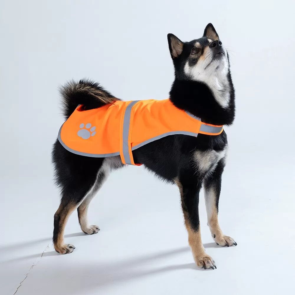 INF Reflektierende Hunde Sicherheitsweste - Gut sichtbare Anti-Verlust-Weste für Hunde beim Nachtspaziergang XL Orange