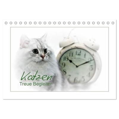 Katzen – Treue Begleiter (CH - Version) (Tischkalender 2027 DIN A5 quer), CALVENDO Monatskalender