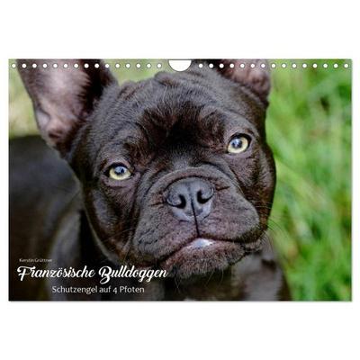 Französische Bulldoggen - Schutzengel auf 4 Pfoten (Wandkalender 2026 DIN A4 quer), CALVENDO Monatskalender