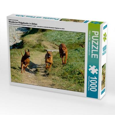 CALVENDO Puzzle Ein Motiv aus dem Kalender Rhodesian Ridgebacks in Aktion | 1000 Teile Lege-Größe 64x48cm Foto-Puzzle für glückliche Stunden