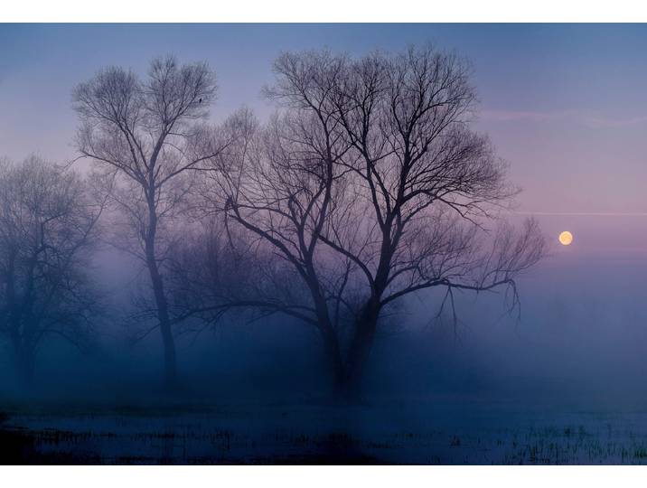 Fototapete PAPERMOON Photo-Art ANDREAS AGAZZI, EIN WEITERER NEUER TAG , bunt, B:5m L:2,8m, Vlies, Tapeten, Fototapete