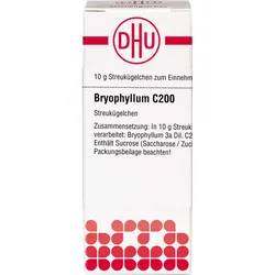 Bryophyllum C200 10 G