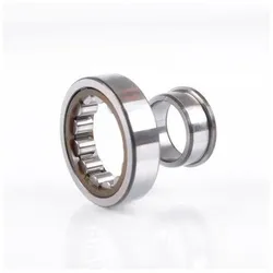 Skf Zylinderrollenlager NJ204 ECP/C3 ID 20mm AD 47mm Breite14mm