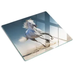 GLASPLATTE 60x52 cm Ein graues Pferd im Galopp