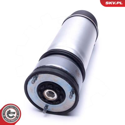 ESEN SKV Luftfederbein 58skv063 Hinterachse rechts für BMW