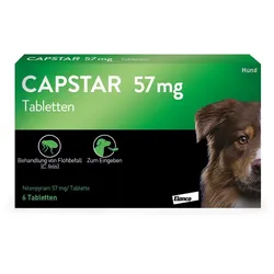 CAPSTAR GR. HUND 6 St Tabletten