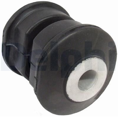 DELPHI Lagerung, Blattfeder TD879W für Ford