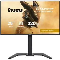 iiyama Monitor GB2591HSU-B1 (1920 x 1080 Pixel, 24.50"), Monitor, Schwarz