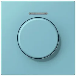 Jung Abdeckung mit Lichtleiter LC 1940 KO5 213