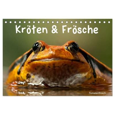 Kröten & Frösche (Tischkalender 2026 DIN A5 quer), CALVENDO Monatskalender