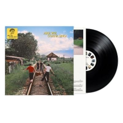 Are We Gonna Sing? (LP) - Sam Tompkins, Vinyl